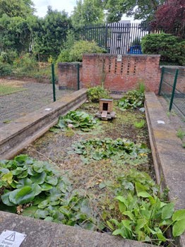 Picture4