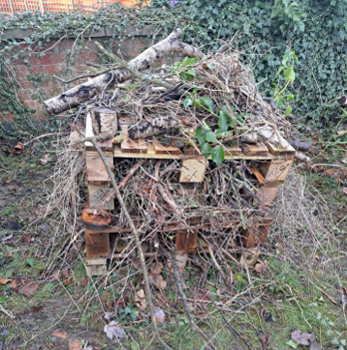 Picture1